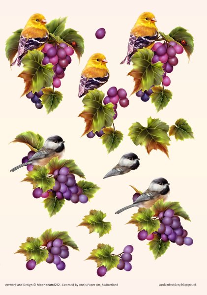 3D Card Embroidery Pattern Sheet 12 Grapevine