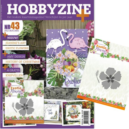 Hobbyzine Plus 43 + Gratis Schablone